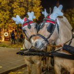 Kruchió László Szabadtéri Adventi Kiállítása