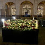 Téli Csodaország Kecskeméten Téli Csodaország Kecskeméten