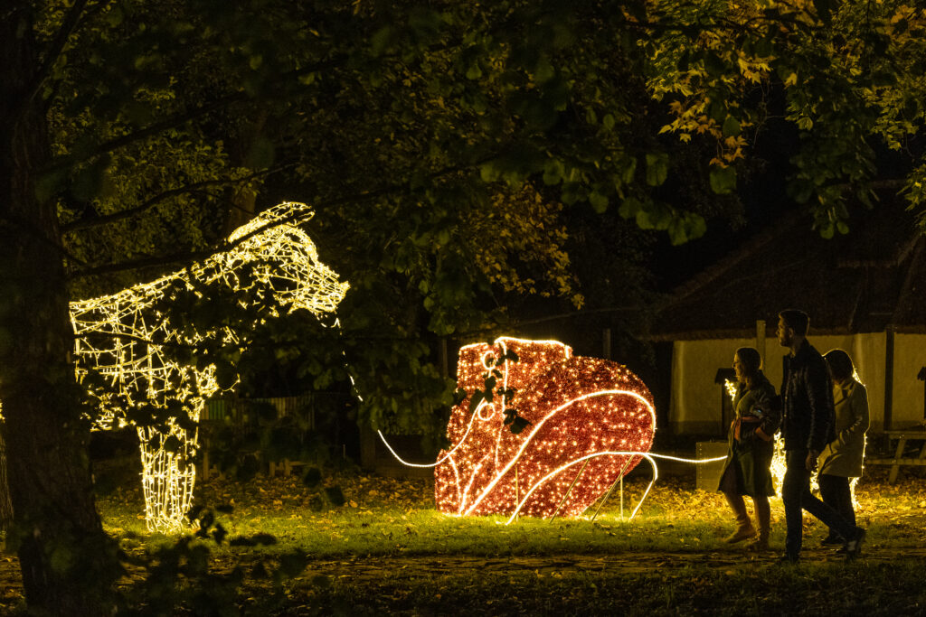 Téli fénycsodák Magyarország öt városában Téli fénycsodák Magyarország öt városában
