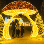 Téli Fénycsodák Magyarország öt Városában Téli Fénycsodák Magyarország öt Városában